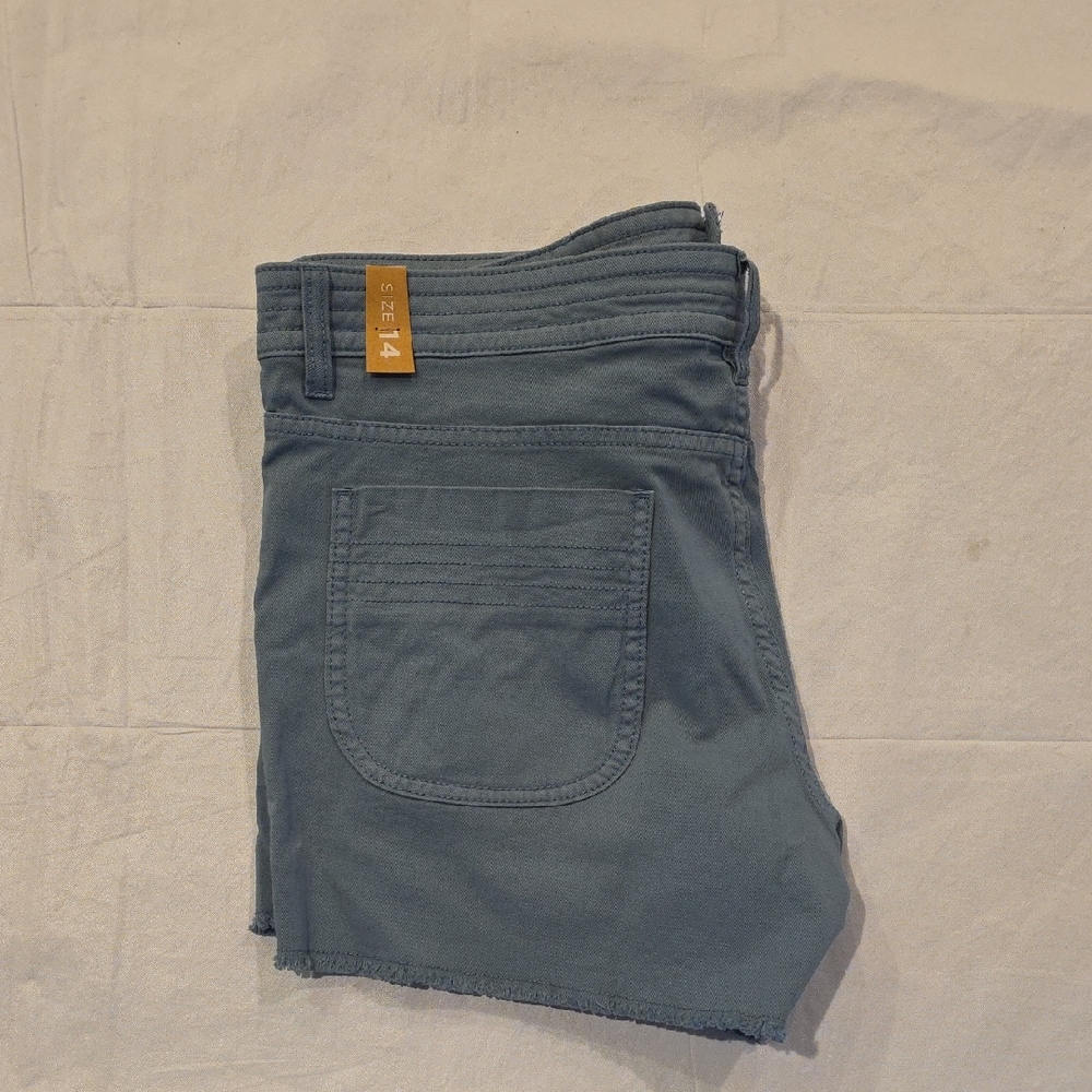 Prana Women's NWT Sancho‎ 4" Stretch Short High Tide 14